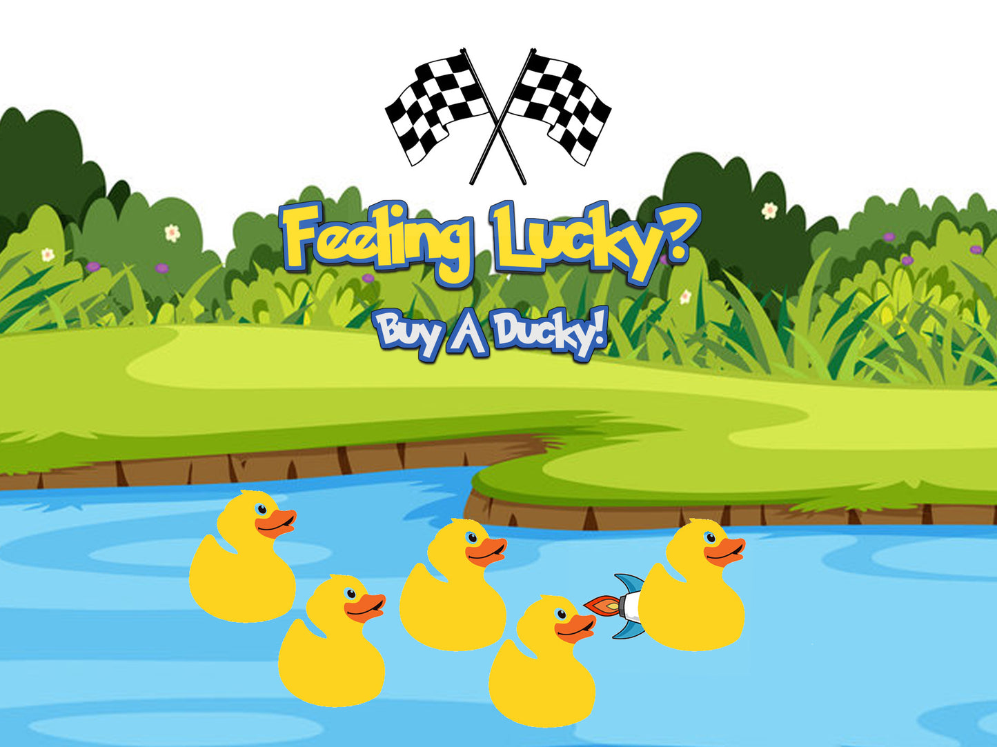 4X COLLECTION BOX DUCK RACE