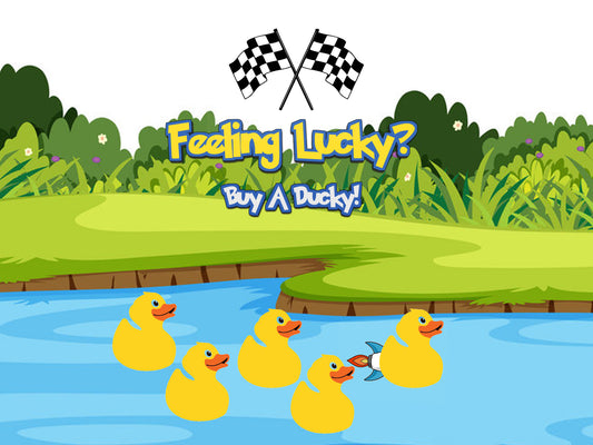 4X COLLECTION BOX DUCK RACE